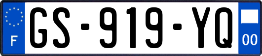 GS-919-YQ