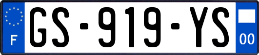 GS-919-YS