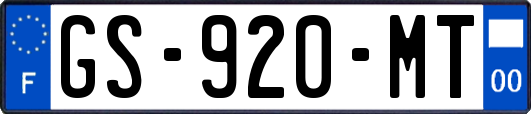 GS-920-MT