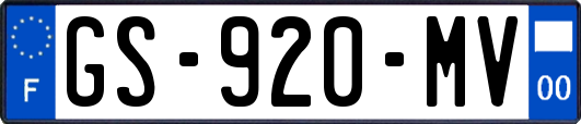 GS-920-MV