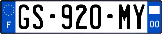 GS-920-MY