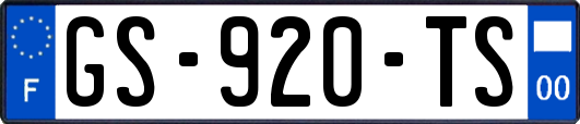 GS-920-TS