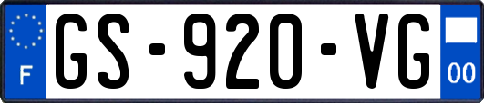 GS-920-VG