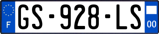 GS-928-LS