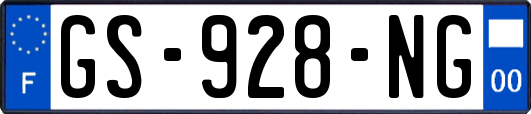 GS-928-NG