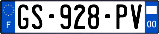 GS-928-PV