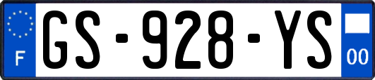 GS-928-YS