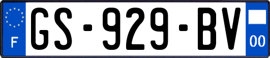 GS-929-BV