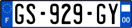 GS-929-GY