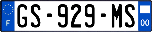 GS-929-MS