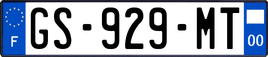 GS-929-MT