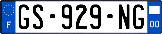 GS-929-NG