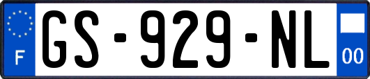 GS-929-NL