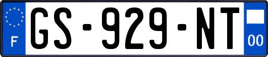 GS-929-NT