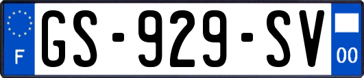 GS-929-SV