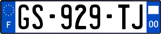 GS-929-TJ