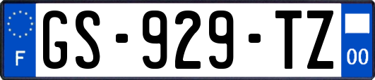 GS-929-TZ