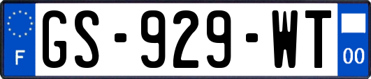 GS-929-WT