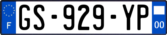 GS-929-YP