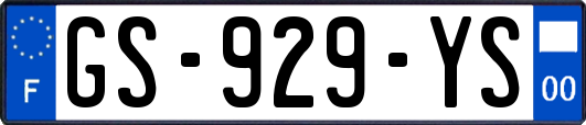 GS-929-YS