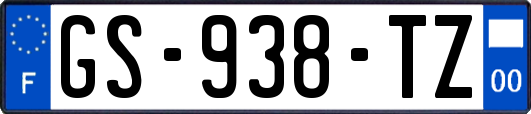 GS-938-TZ