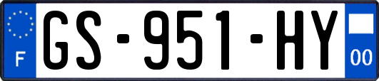 GS-951-HY