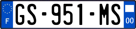 GS-951-MS