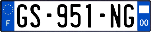 GS-951-NG
