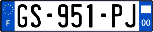 GS-951-PJ