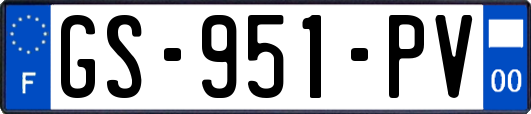 GS-951-PV