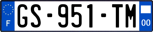 GS-951-TM