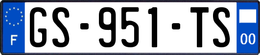 GS-951-TS