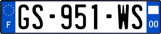 GS-951-WS