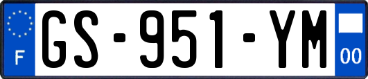 GS-951-YM