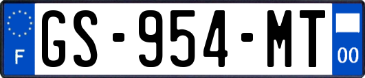 GS-954-MT