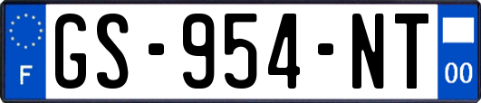 GS-954-NT