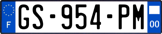 GS-954-PM