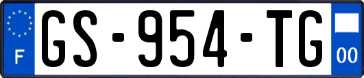 GS-954-TG