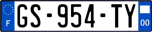 GS-954-TY