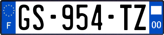 GS-954-TZ