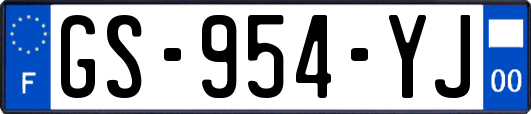 GS-954-YJ