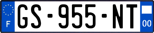 GS-955-NT