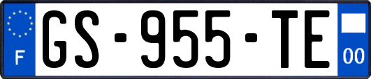 GS-955-TE