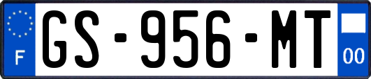 GS-956-MT