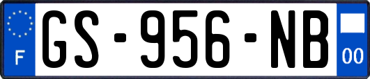 GS-956-NB