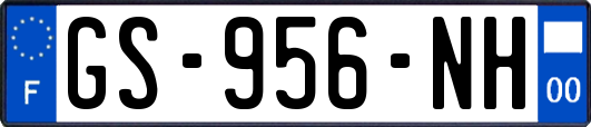 GS-956-NH