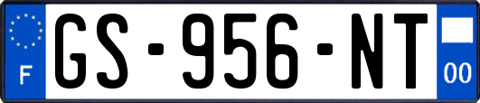 GS-956-NT