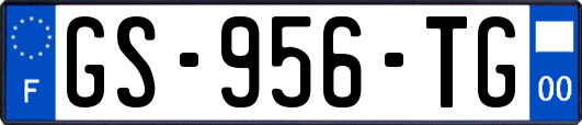 GS-956-TG