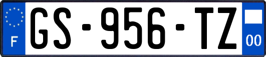 GS-956-TZ