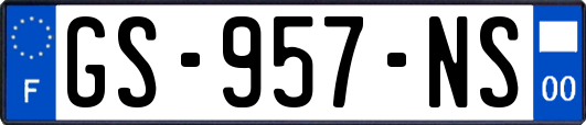 GS-957-NS